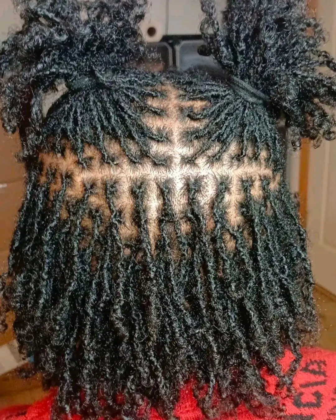 Back of a freshly retwisted set of small locs, the parting grid running in straight rows down from the crown