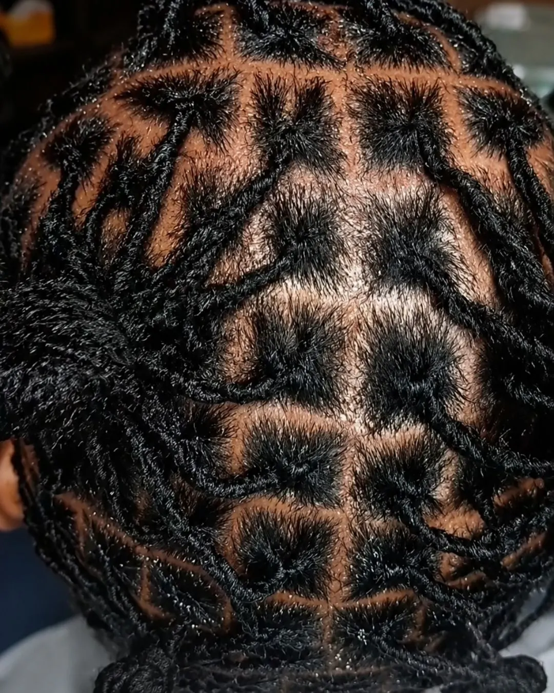 Locs seen from above, parted into a clean square grid with even sections across the whole crown